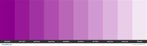 The Color Purple Is Shown In This Image