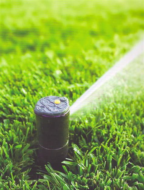 Turf Tips Proper Watering Key To Lawn Care Geoponics