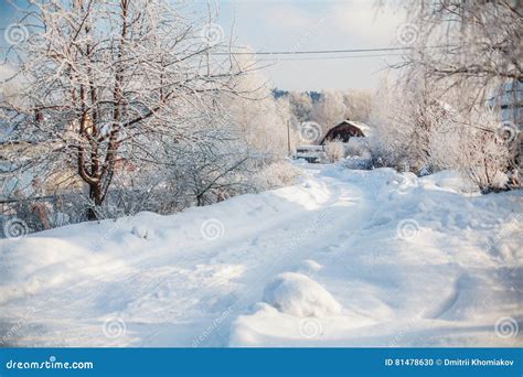 Winter Rural Scene Snowy Road And Trees Covered With Snow Stock Photo