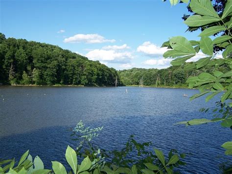 Salt Fork State Park An Ohio State Park Located Near Cambridge Zanesville