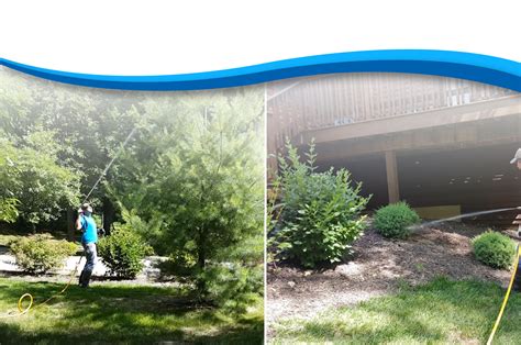 New customer offer, 1st lawn application just $29.95. Roland Outdoor | Full Service Lawn Care & Landscape ...