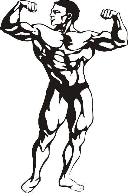 Bodybuilder Muscles Homme Images Vectorielles Gratuites Sur Pixabay