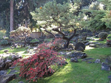 Mit diesen pflanzen verwandeln sie ihren hausgarten in ein. Japanischer Garten (2) | 13. Bezirk | Bilder aus Wien ...