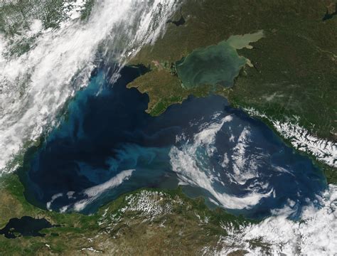 Phytoplankton Bloom In The Black Sea