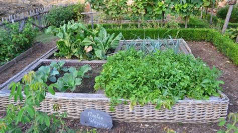 Jardinage Conseils Emplacement Et Astuces Pour Créer Son Potager