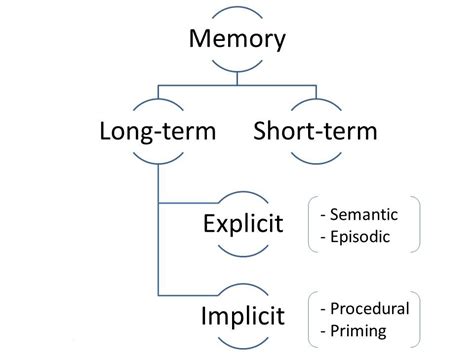 Types Of Memory In Psychology Explained Psychmechanics
