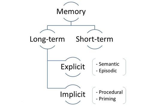 Types Of Memory In Psychology Explained