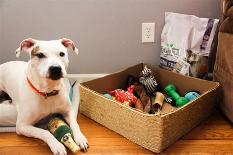 Free shipping on orders $49+ and the best customer service! Dog Toy Box, DIY Dog toy bin, simple and easy to make