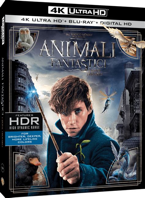 Il suo uovo si sta schiudendo. "Animali fantastici e dove trovarli": a marzo in home ...