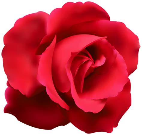Download 1,355 roses transparent stock illustrations, vectors & clipart for free or amazingly low rates! Red Rose Clip Art PNG Image | Gallery Yopriceville - High ...