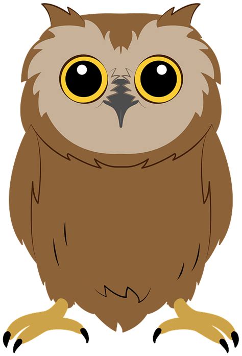 Baby Owl Clip Art Library