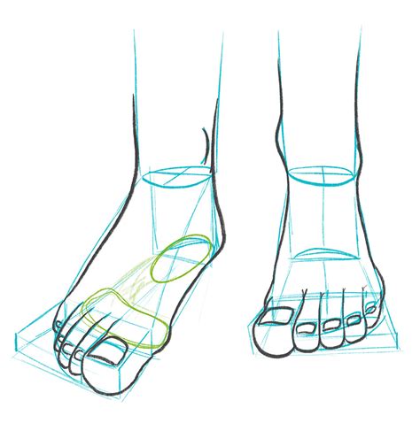 How To Draw The Feet Foldstretch