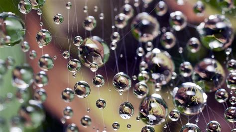 Join now to share and explore tons of collections of awesome wallpapers. Windows 10 Lock Screen Wallpaper (87+ images)