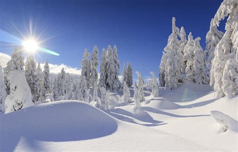 British Columbia Winter Wallpapers Top Free British Columbia Winter