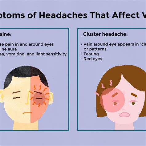 Parts Of Brain Headache Human Anatomy