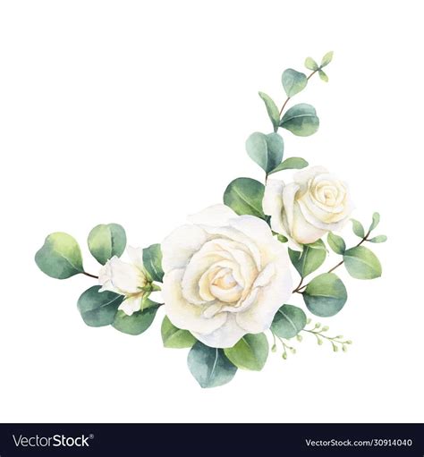 Watercolor Vector Hand Painted Bouquet With Green Eucalyptus Leaves And