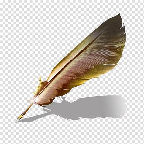 Gold And Brown Feather Illustration Quill Book Paper Ink Pen Png