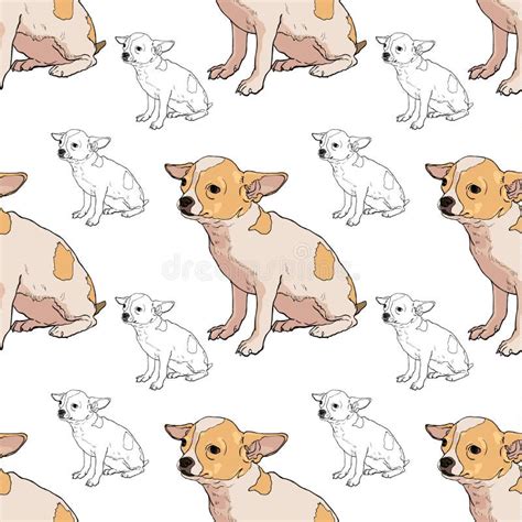 Seamless Pattern Of Adorable Chihuahua Stock Vector Illustration Of