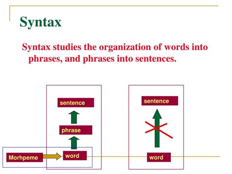 Ppt Introduction To Linguistics Chapter 4 Syntax Powerpoint