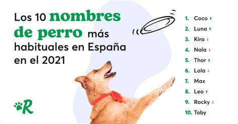 Los Nombres De Perros Más Frecuentes En España Son Doogwebes