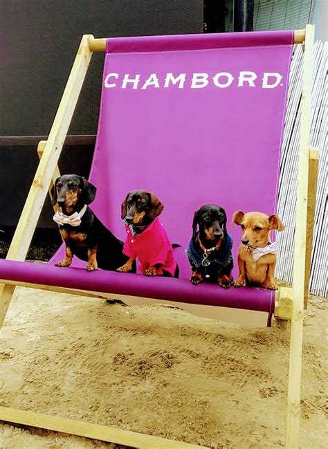 We did not find results for: Pin on Dog-Friendly Things to Do In London