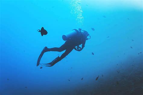 Is Scuba Diving Dangerous 6 Things To Avoid After Diving