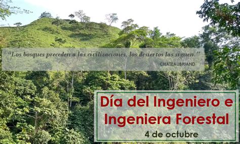 Si no lo ha recibe, verifica la carpeta de spam. 4 de Octubre - Día del Ingeniero e Ingeniera Forestal en ...