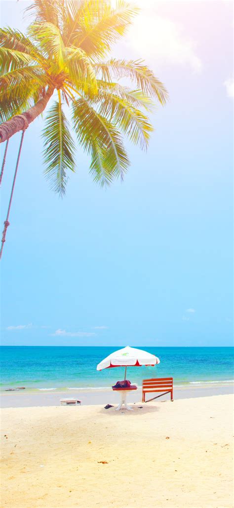 夏天，热带，棕榈树，沙滩，大海 1125x2436 Iphone 11 Proxsx 壁纸，图片，背景，照片