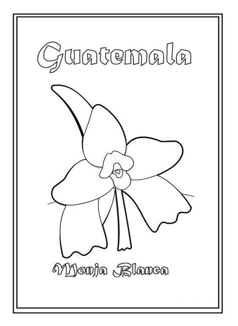 Flor Nacional De Guatemala Para Colorear Y Pintar Colorea Tus Dibujos