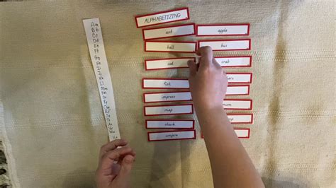 Enter or paste a list of items into the box below. Alphabetical Order 2 - YouTube