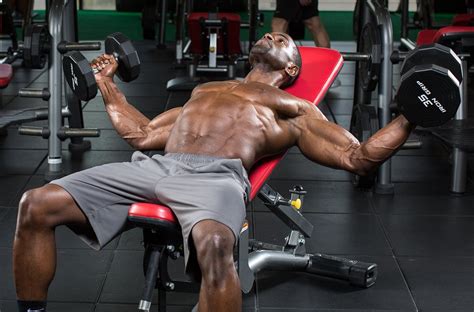 5 Chest Workouts For Mass A Beginner S Guide