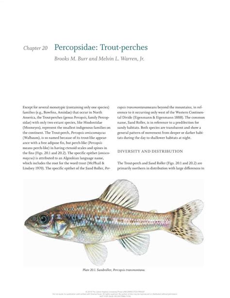 Freshwater Fishes Of North America Docslib