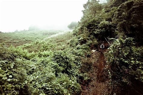 Cerro De La Muerte Cr Trail Country Roads Costa Rica