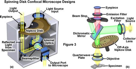 Zeiss Microscopy Online Campus Introduction To Spinning Disk Microscopy