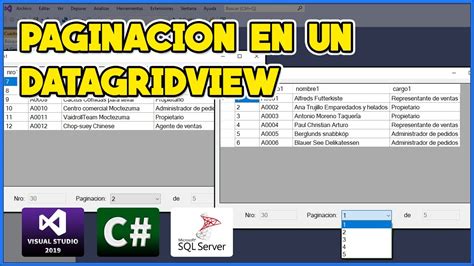 Paginaci N En Un Datagridview En C Visual Studio Youtube