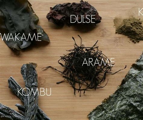 Seaweed 101 The Benefits Of Seaweed And How To Use Seaweed In Your Cooking