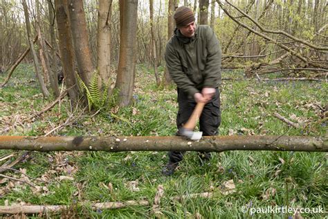 Why not adorn your walls and fences with ever green climbers that will provide you a hypnotising display all year round? Limbing And Sectioning Trees With An Axe