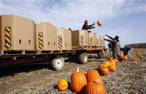 Ingredient Of The Season Pumpkins