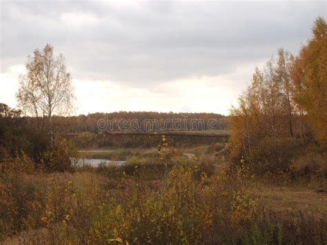 Autumn Trees On The Shore Of A Forest Lake Against A Stormy Sky Stock