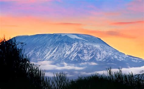 Beautiful Sunset On The Mount Kilimanjaro Tanzania Wildlife Archives