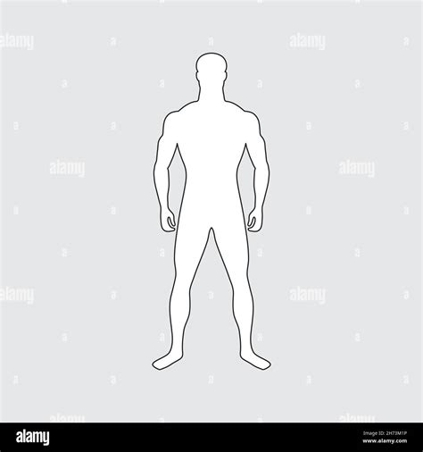 Figura Masculina Adulta Imágenes Vectoriales De Stock Alamy