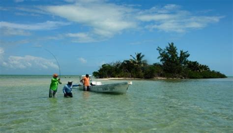 Fishing Pesca Maya