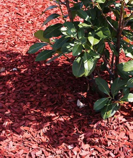 Here's a sample of some of our recent projects. Mulching | M & J Gonzalez Landscaping LLC