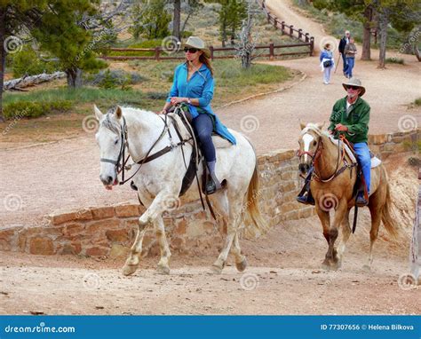 Horse Riders Editorial Photo Image Of Riding America 77307656