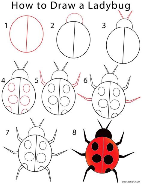 Amazing How To Draw A Ladybug Step By Step Of The Decade The Ultimate