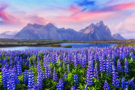 Stokksnes Peninsula Every Photographers Dream Iceland Travel Guide