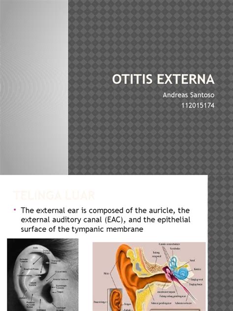 Otitis Externa Medical Specialties Diseases And Disorders