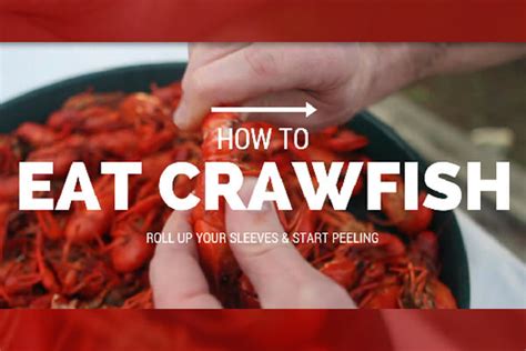 How To Eat Boiled Crawfish
