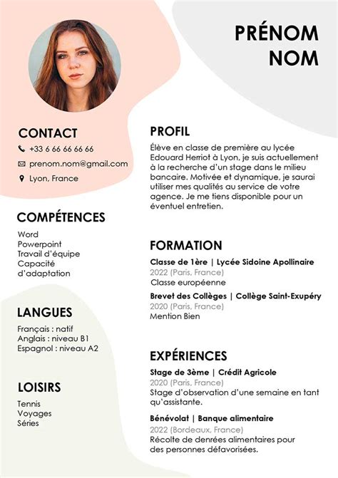 exemple de cv pour stage de seconde