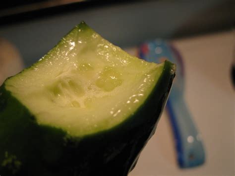 Simply Homemaking How To Milk A Cucumber